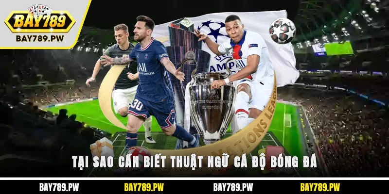 Tại sao cần biết thuật ngữ cá độ bóng đá?